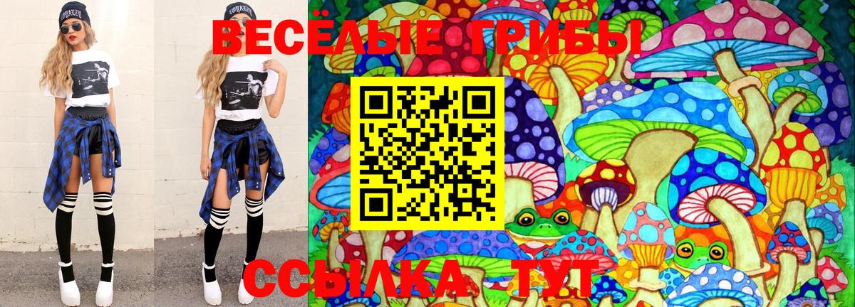 Псилоцибиновые грибы Magic Shrooms  Вход с VPN  Галлюциногенные грибы мухоморы  Новочеркасск 